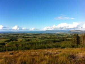 20130808-133107.jpg
