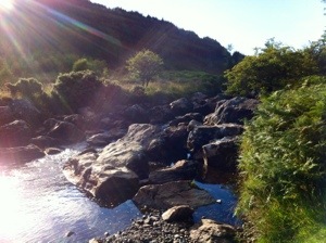 20130808-133139.jpg
