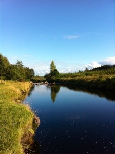 20130808-133144.jpg